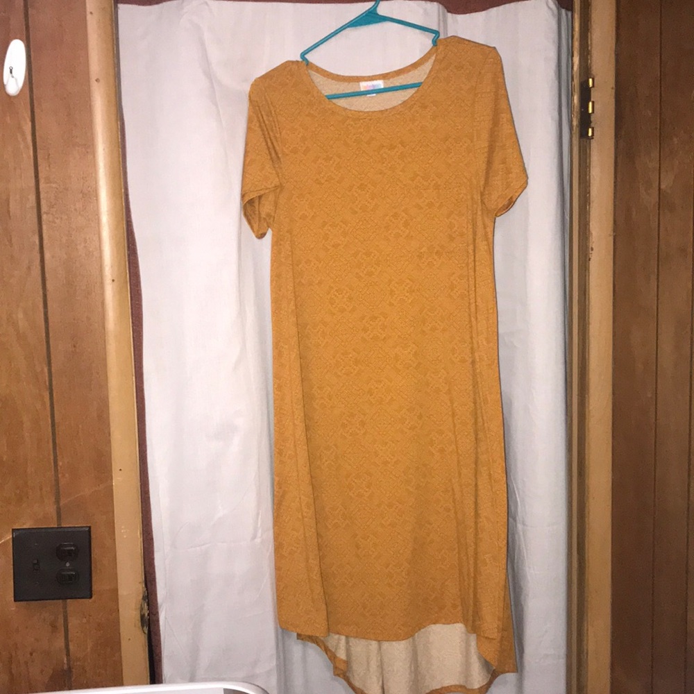 LuLa Roe Carly Dress high/low effect